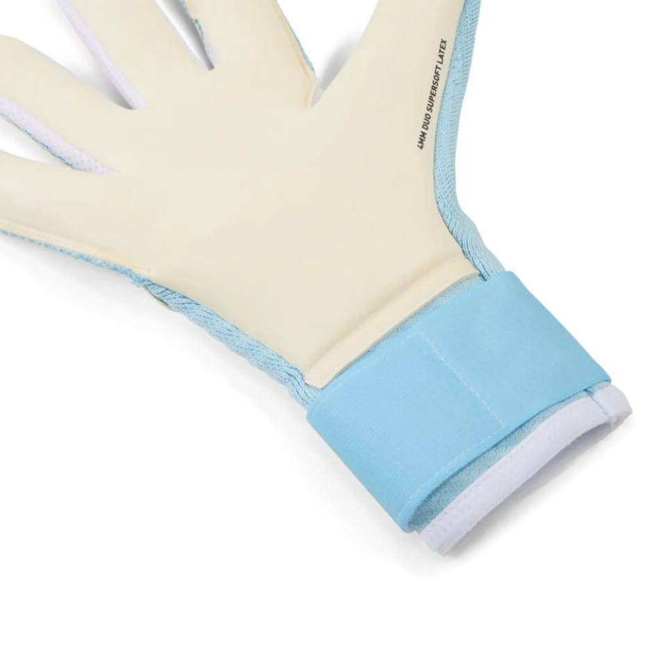 PUMA Future Pro Keeper Gloves