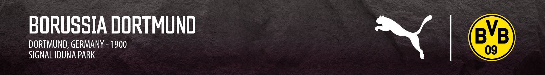 Borussia Dortmund