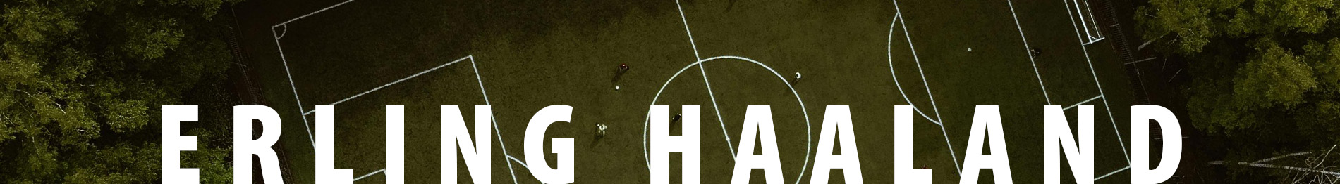 Erling Haaland