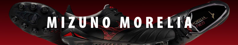 Mizuno Morelia