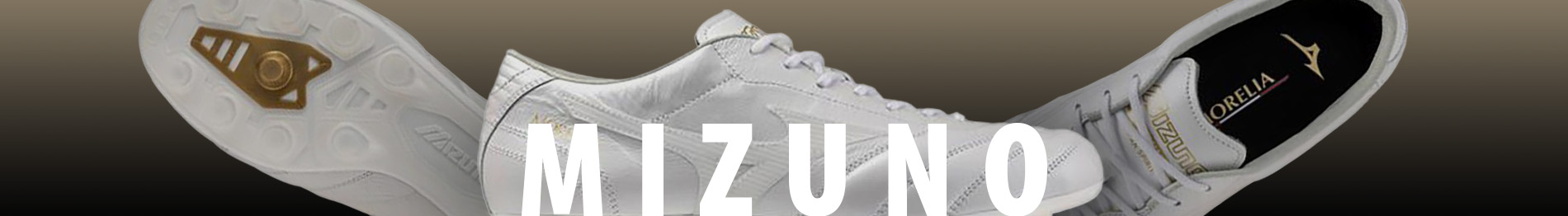 Mizuno