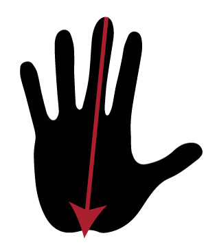 Hand outline with an arrow measuring from the tip of the middle finger down to the base of the palm